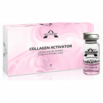 Collagen Activator (Активатор коллагена и фибробластов)